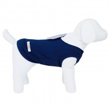 regata para pet